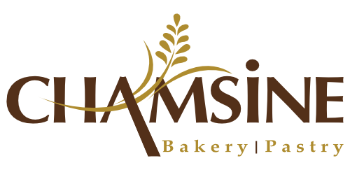 Chamsine logo